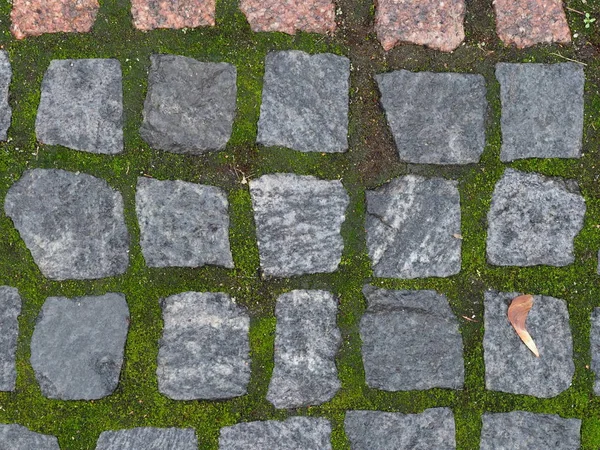 granite pavement with green moss