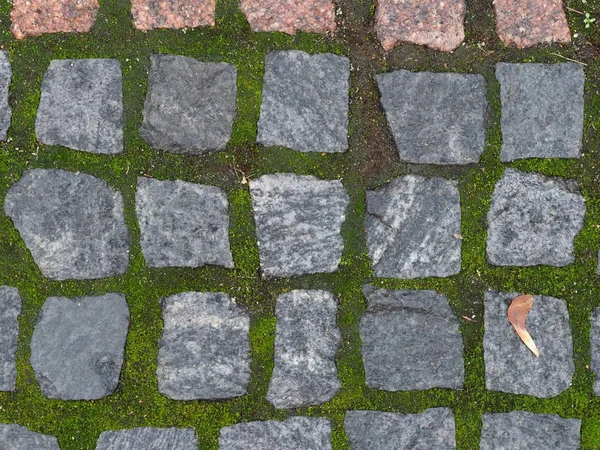 Pavimento Granito Con Musgo Verde — Foto de Stock