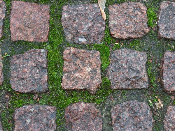 Pavimento Granito Com Musgo Verde — Fotografia de Stock