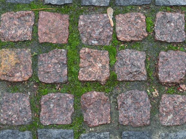 Pavimento Granito Com Musgo Verde — Fotografia de Stock