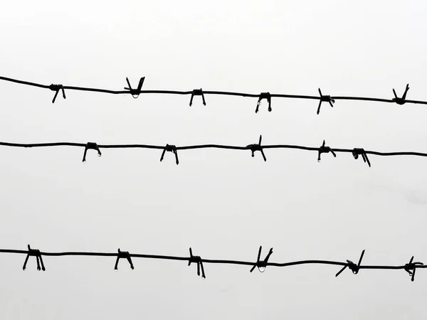 Rusty Barbed Wire Raindrops Gray Sky Background — Stock Photo, Image