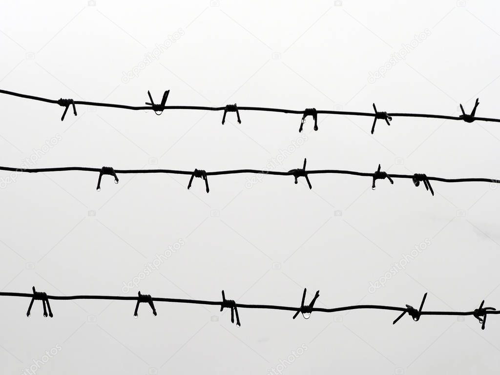 rusty barbed wire with raindrops on gray sky background