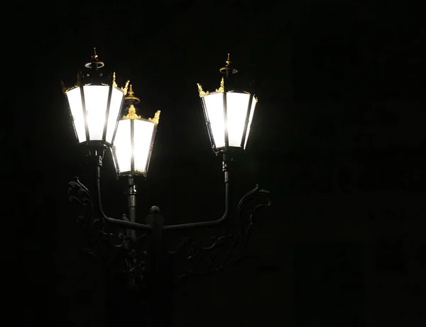 Jardin Parc Lumière Sur Fond Nuit — Photo