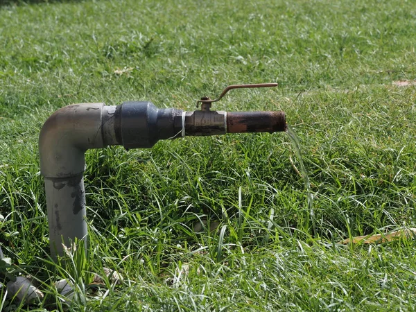 Oude Slangaansluiting Voor Het Besproeien Van Grasbloemen Gras Zomer — Stockfoto