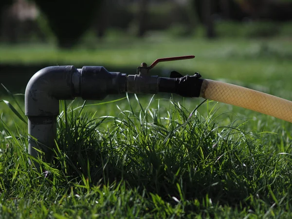 Oude Slangaansluiting Voor Het Besproeien Van Grasbloemen Gras Zomer — Stockfoto