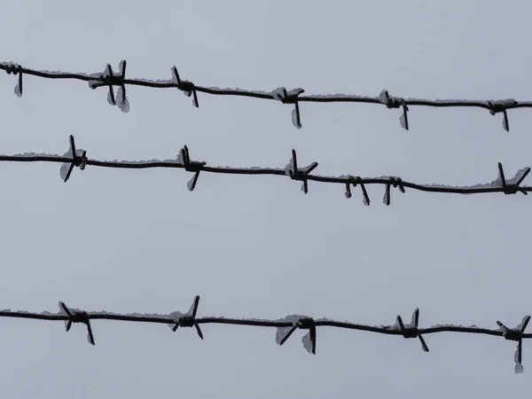 Rusty Barbed Wire Snow Gray Sky Background — 스톡 사진