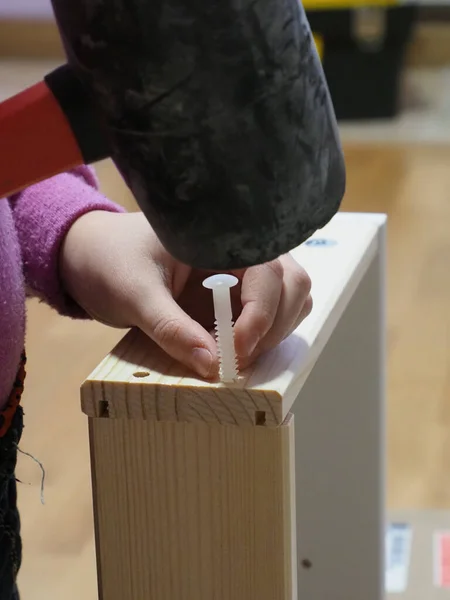 installation of a plastic dowel for assembling furniture made of wood with a rubber hammer