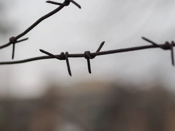 철조망 구름낀 배경에 — 스톡 사진