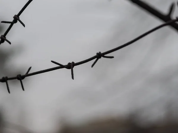 Rostig Gammal Taggtråd Närbild Molnig Himmel Bakgrund — Stockfoto