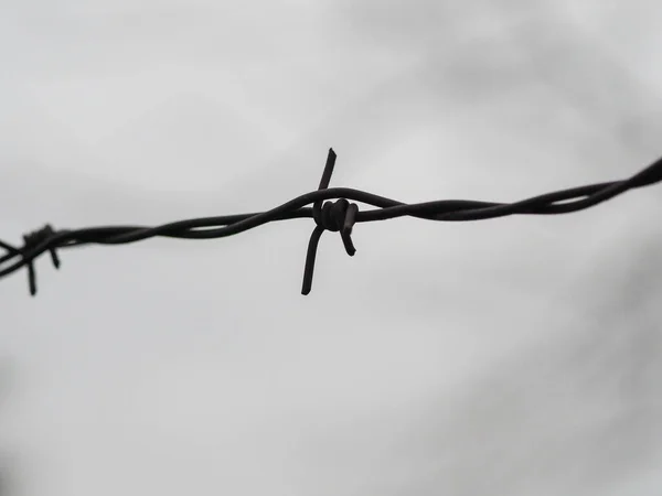 Rusty Old Barbed Wire Closeup Cloudy Sky Background — Stock Photo, Image