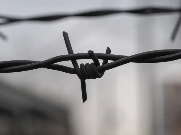 Rusty Old Barbed Wire Closeup Cloudy Sky Background — Stock Photo, Image