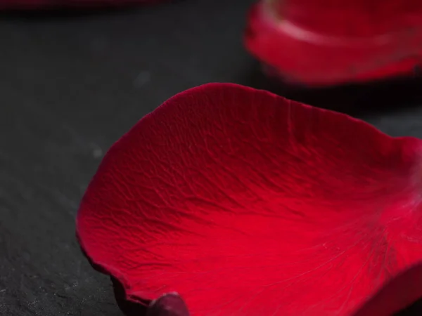 faded red rose petals on black background
