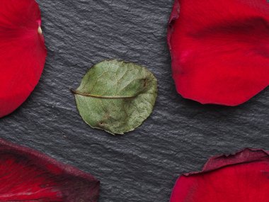 Siyah arkaplanda solmuş kırmızı gül yaprakları