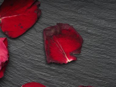 Siyah arkaplanda solmuş kırmızı gül yaprakları