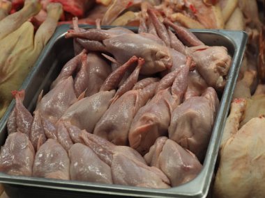 Pazar vitrininde soğuk bıldırcın leşleri.