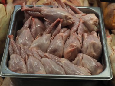 Pazar vitrininde soğuk bıldırcın leşleri.