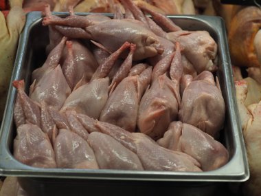 Pazar vitrininde soğuk bıldırcın leşleri.