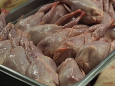 Pazar vitrininde soğuk bıldırcın leşleri.