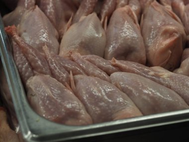 Pazar vitrininde soğuk bıldırcın leşleri.