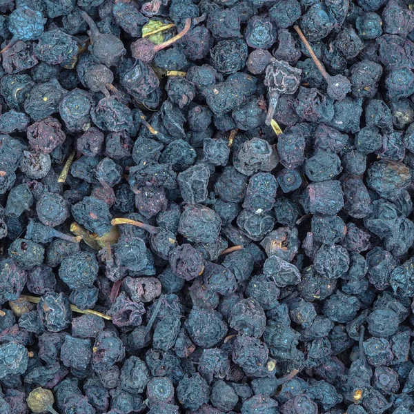 Textur Von Getrockneten Blaubeeren Nahaufnahme — Stockfoto