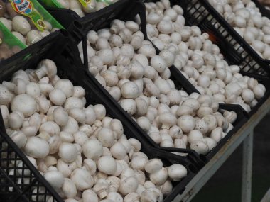 Market tezgahında siyah plastik kutularda satılan çiftlik mantarları..