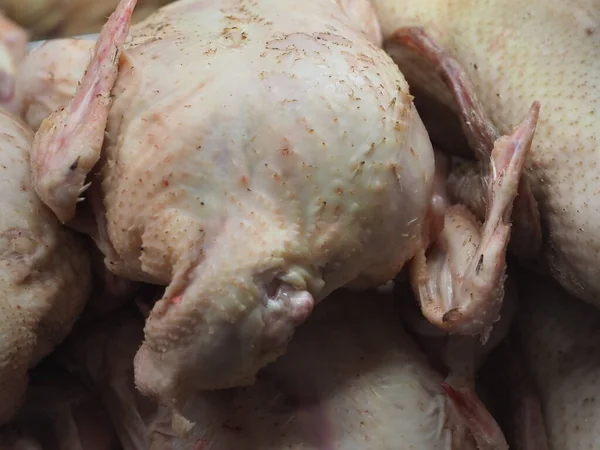 Schłodzone Tusze Kurczaków Froncie Sklepu — Zdjęcie stockowe