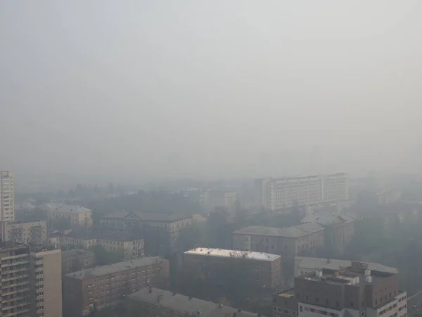 체르노빌 지역에서 산불이 속에서 있었던 2020 — 스톡 사진