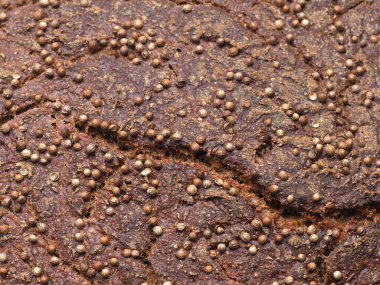 Borodino ekmeğinin mayasız ve mayasız ekmekleri