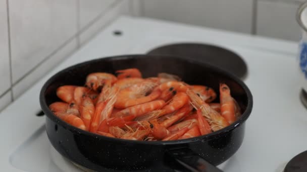 Fried Large Shrimp Pan — Stock Video