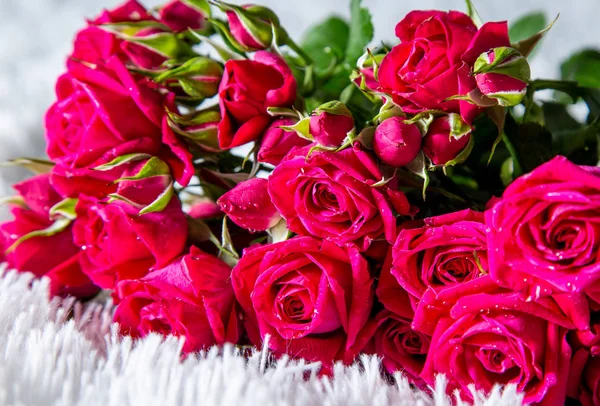 Ramo de hermosas rosas rojas — Foto de Stock