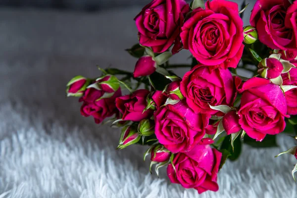 Ramo de hermosas rosas rojas aisladas sobre fondo blanco. — Foto de Stock