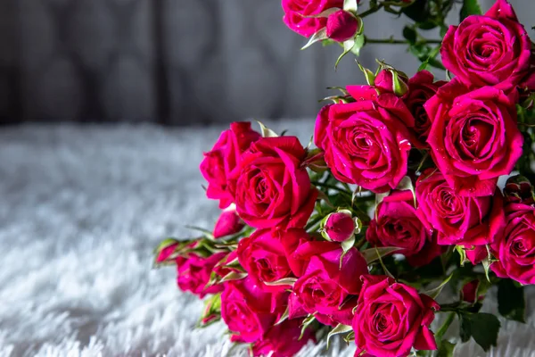 Ramo de hermosas rosas rojas aisladas sobre fondo blanco. — Foto de Stock