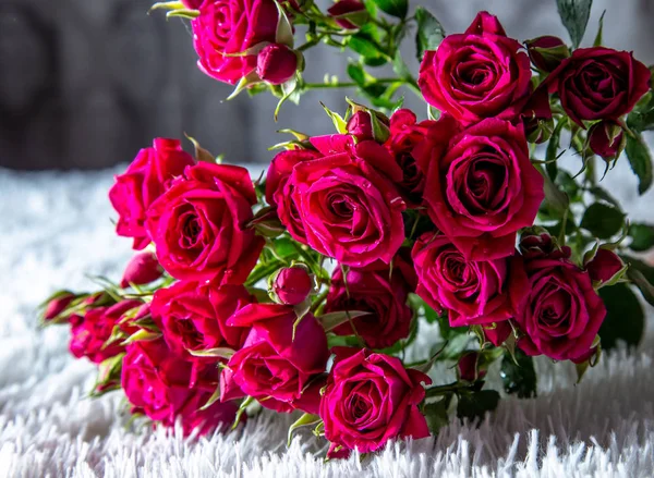 Ramo de hermosas rosas rojas aisladas sobre fondo blanco. — Foto de Stock