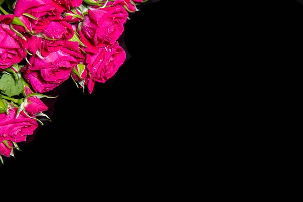 Bouquet Belle Rose Rosse Isolate Sfondo Nero Con Petali Postcar — Foto Stock