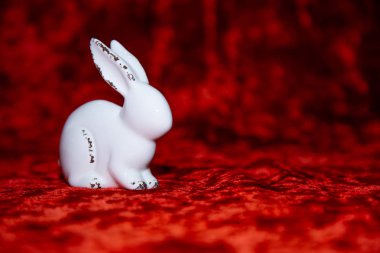 Kırmızı kadife arka planda beyaz bir haham duruyor.