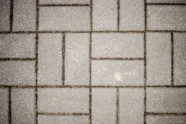 Parktaki eski gri renkli tuğla geçit. Düz olmayan dikişli tuğla işi.