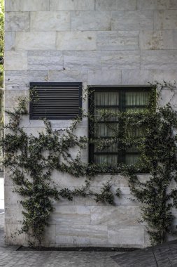 Tiflis, Gürcistan'daki bir pencere ile bina mermer üzerinde dağcı