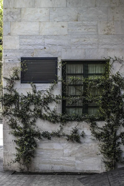 Tiflis, Gürcistan'daki bir pencere ile bina mermer üzerinde dağcı