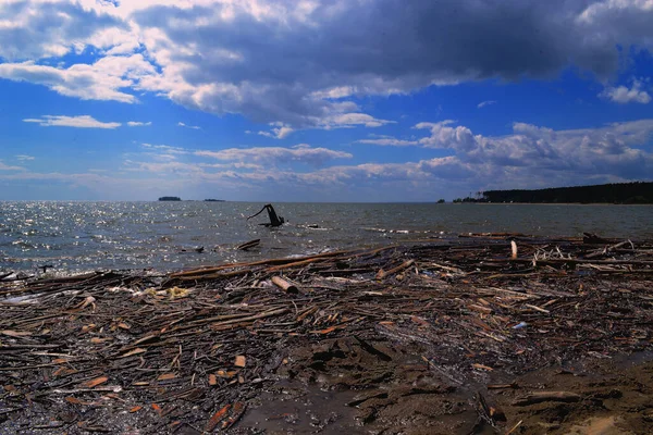 Baharda kumsalda, Ob deposunda..