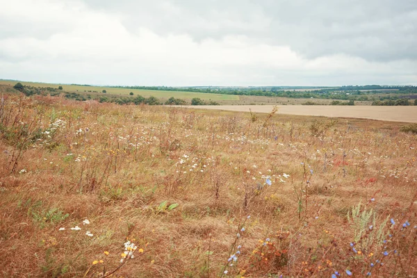 manzara sonbahar tarlası ve gökyüzü tonu