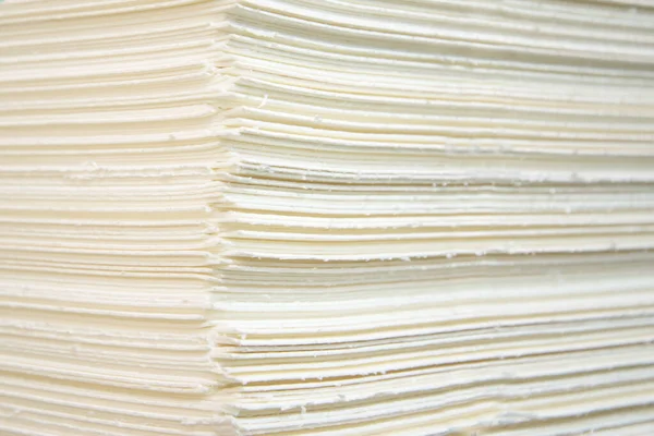 Detener las hojas de celulosa pulpa están prefabricados para la fabricación de papel — Foto de Stock