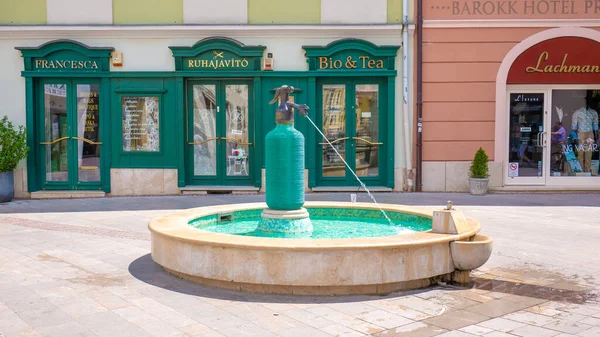 Gyor, Hongarije 06.30.2019. Siphon fontein in het historische centrum van Gyor. — Stockfoto