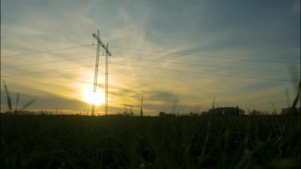 아름다운 석양 지대의 푸른 농경지에 있는 고압 전기 탑의 실루엣. — 비디오