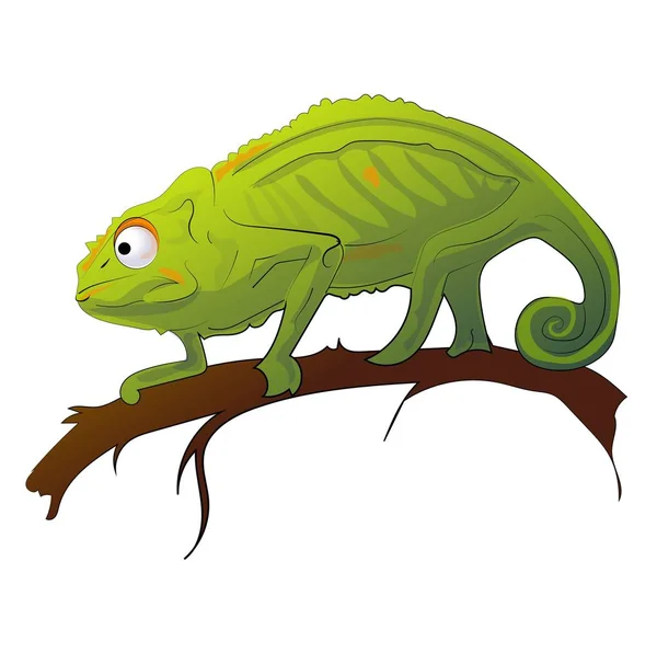 Multicapture Χαριτωμένο Chameleon Εικονογράφηση — Διανυσματικό Αρχείο