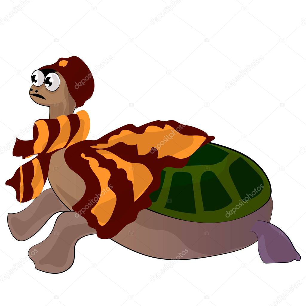 cute cartoon tortoise in clothes, hat and scarf