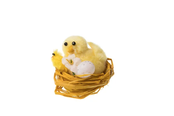 Διακοσμητικά Κοτόπουλα Παιχνίδι Στη Φωλιά Αυγό Για Διακοπές Πάσχα Απομονώνονται — Φωτογραφία Αρχείου