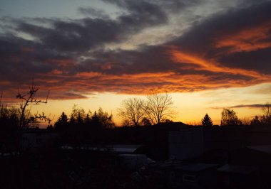 Gün doğumunda kalın bulutlar ve siyah ağaçlar.