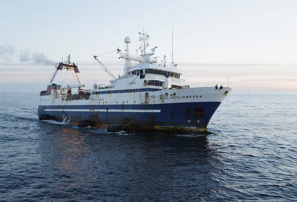 Balık tutma seiner Mys Menjshikova