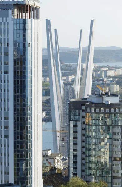 Altın boynuz yakın çekim bir defne köprü üstünde.