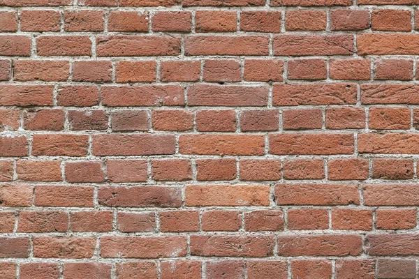 Pared de ladrillos sobre cemento . — Foto de Stock